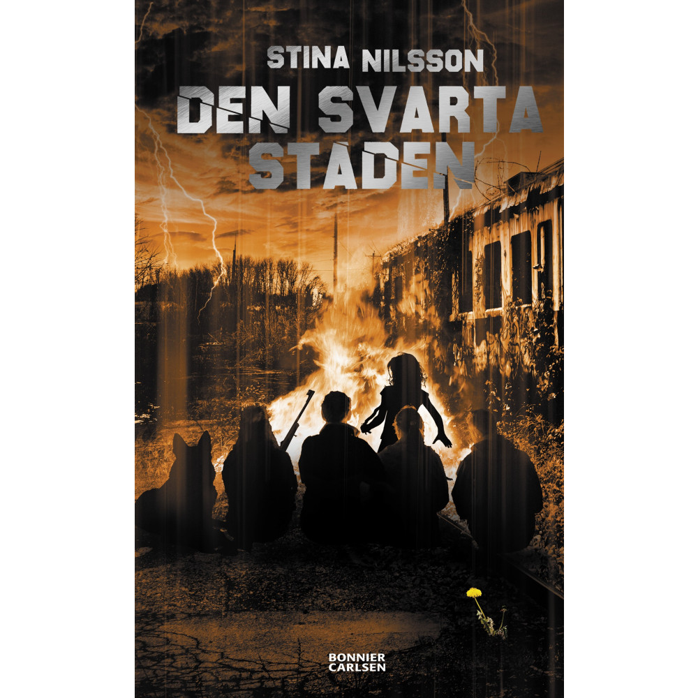 Produktbild för Den svarta staden (bok, kartonnage)