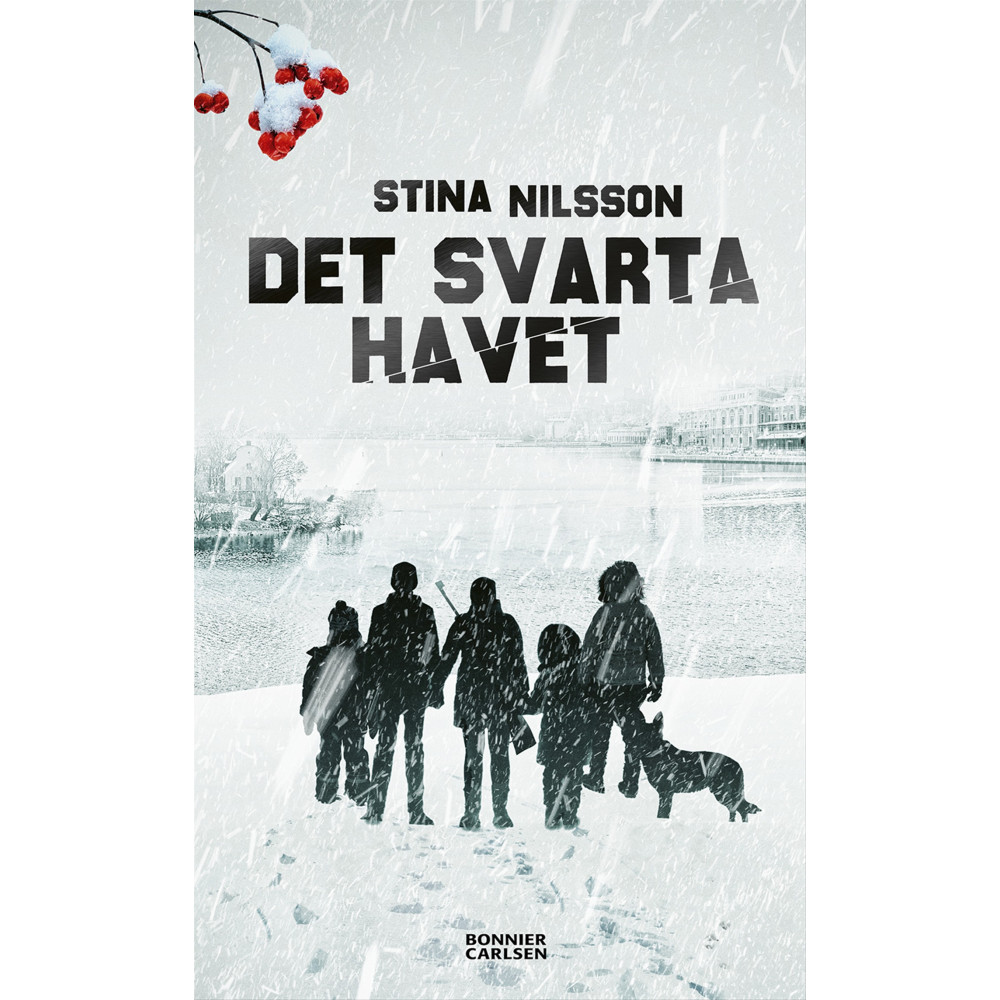 Produktbild för Det svarta havet (bok, kartonnage)