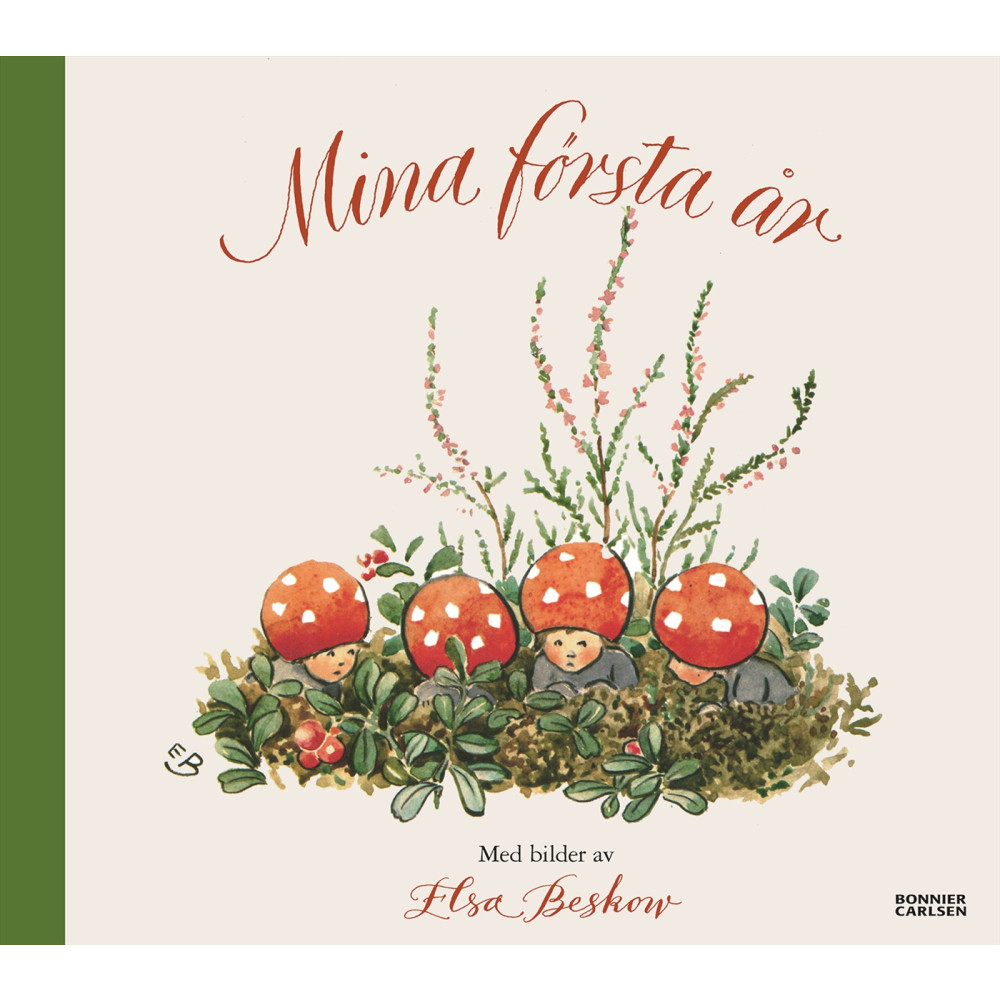 Produktbild för Mina första år (bok, halvklotband)