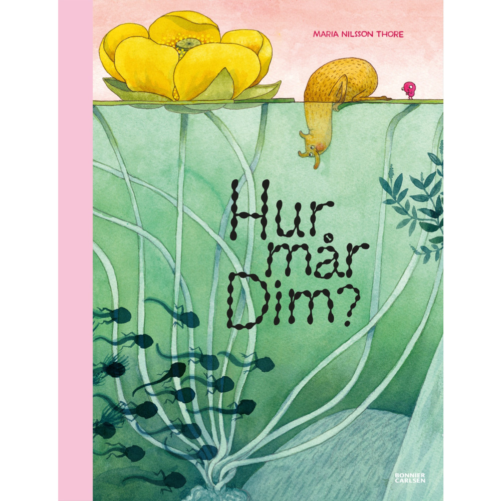 Produktbild för Hur mår Dim? (bok, halvklotband)
