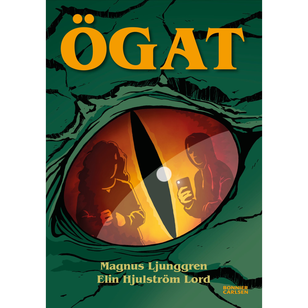 Produktbild för Ögat (bok, kartonnage)