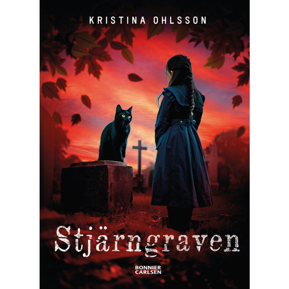 Produktbild för Stjärngraven (bok, kartonnage)