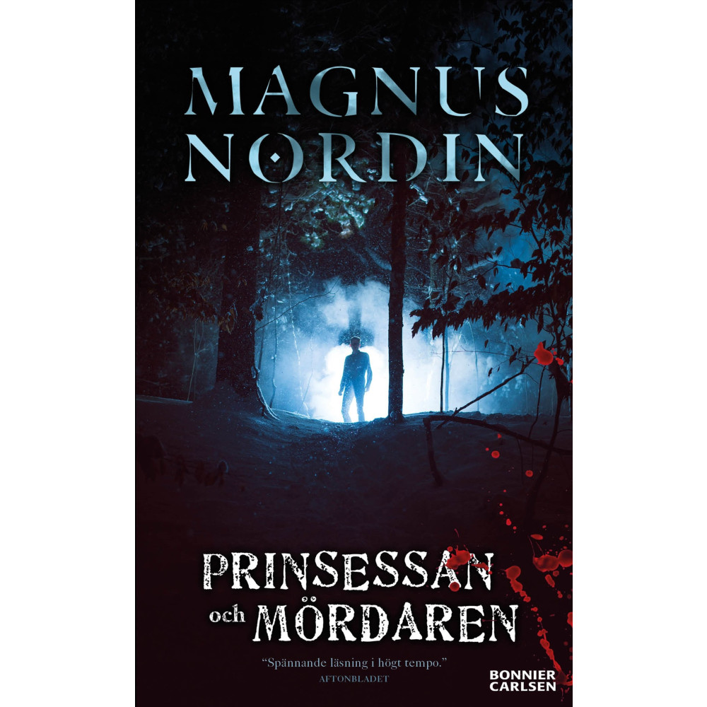 Produktbild för Prinsessan och mördaren (pocket)