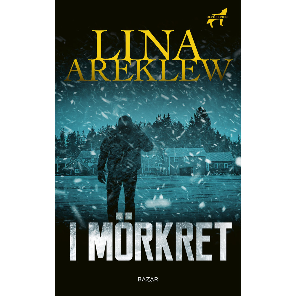 Produktbild för I mörkret (pocket)