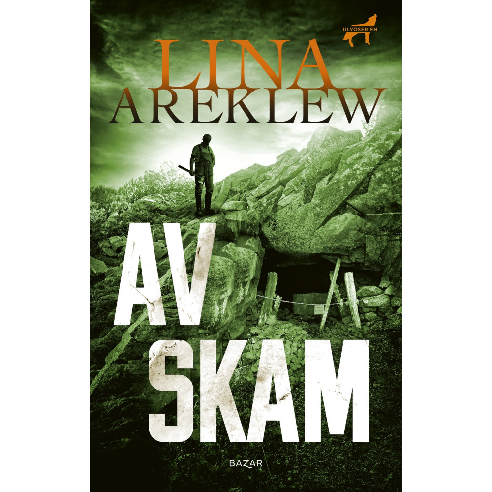Produktbild för Av skam (pocket)
