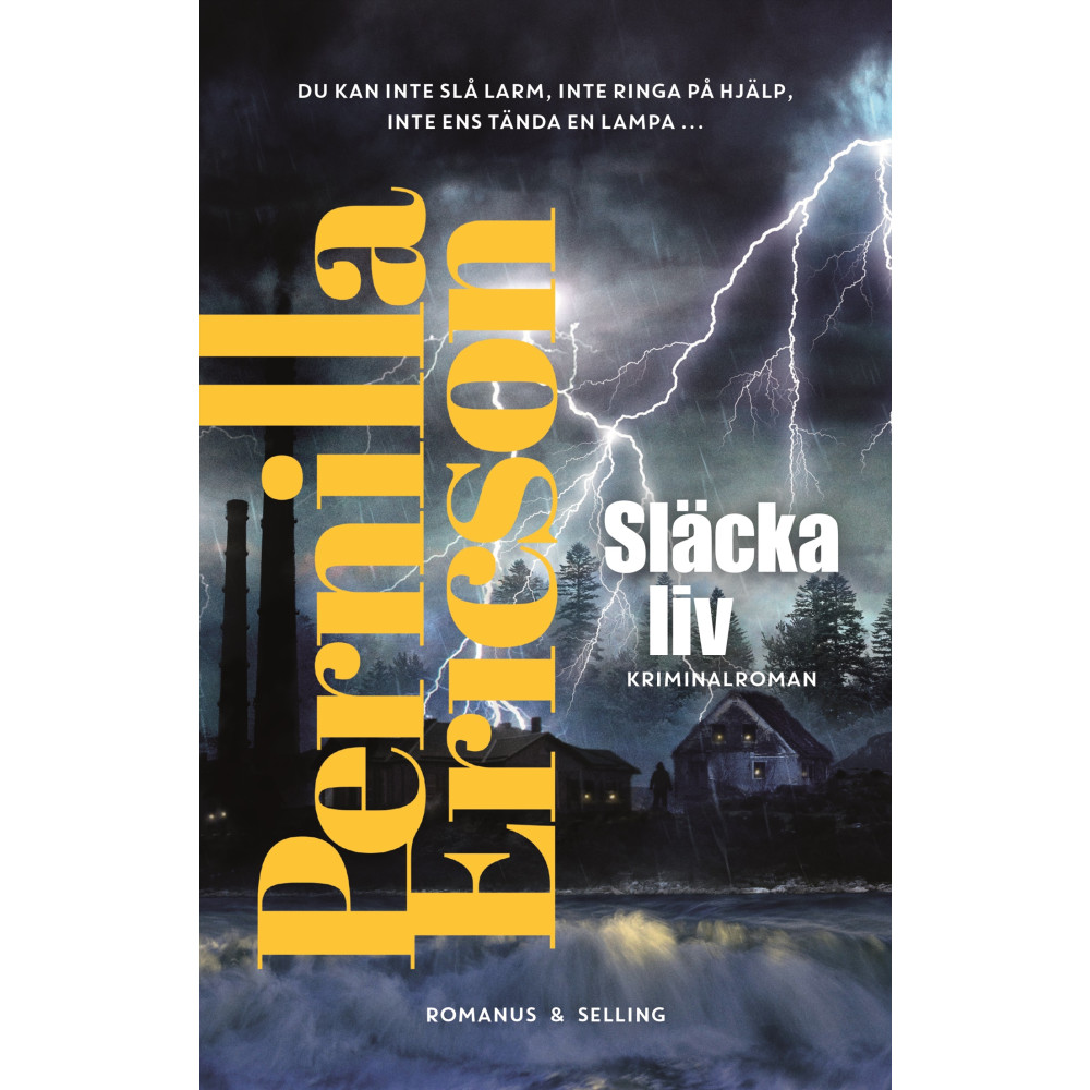 Produktbild för Släcka liv (inbunden)