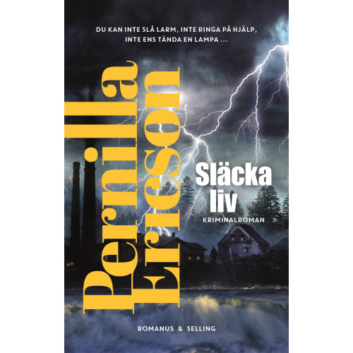 Pernilla Ericson Släcka liv (inbunden)