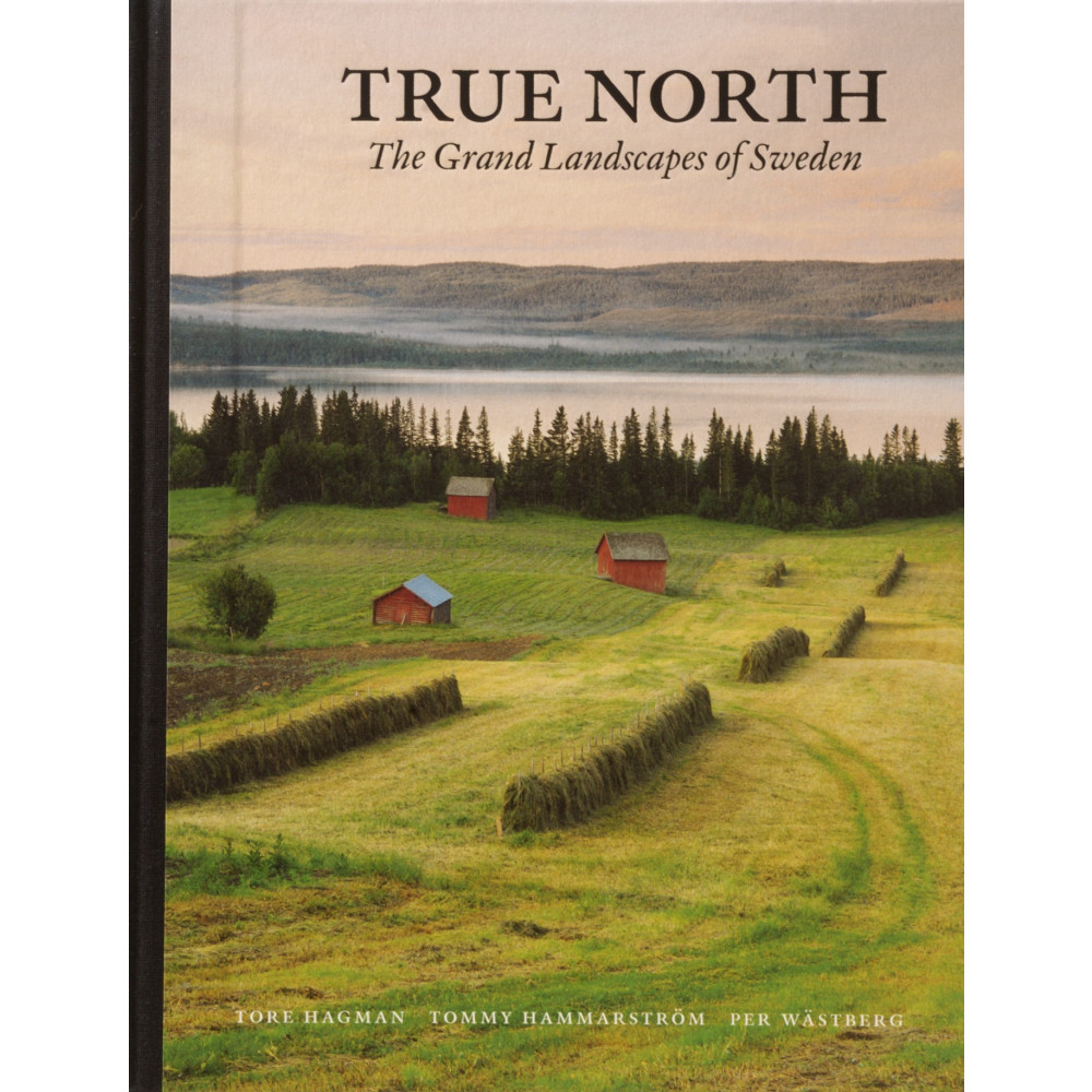 Produktbild för True North : the grand landscapes of Swede (inbunden, eng)