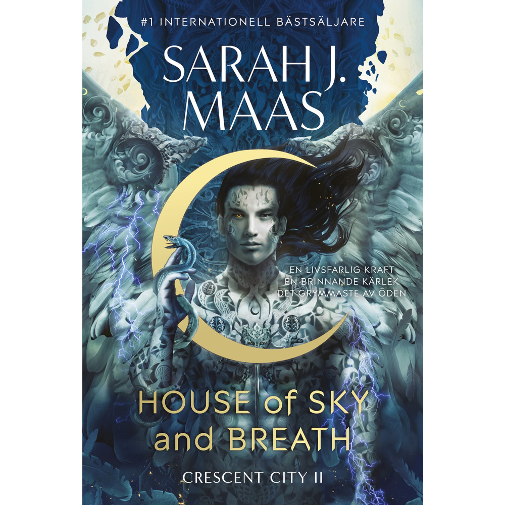 Produktbild för House of Sky and Breath (Svensk utgåva) (bok, danskt band)