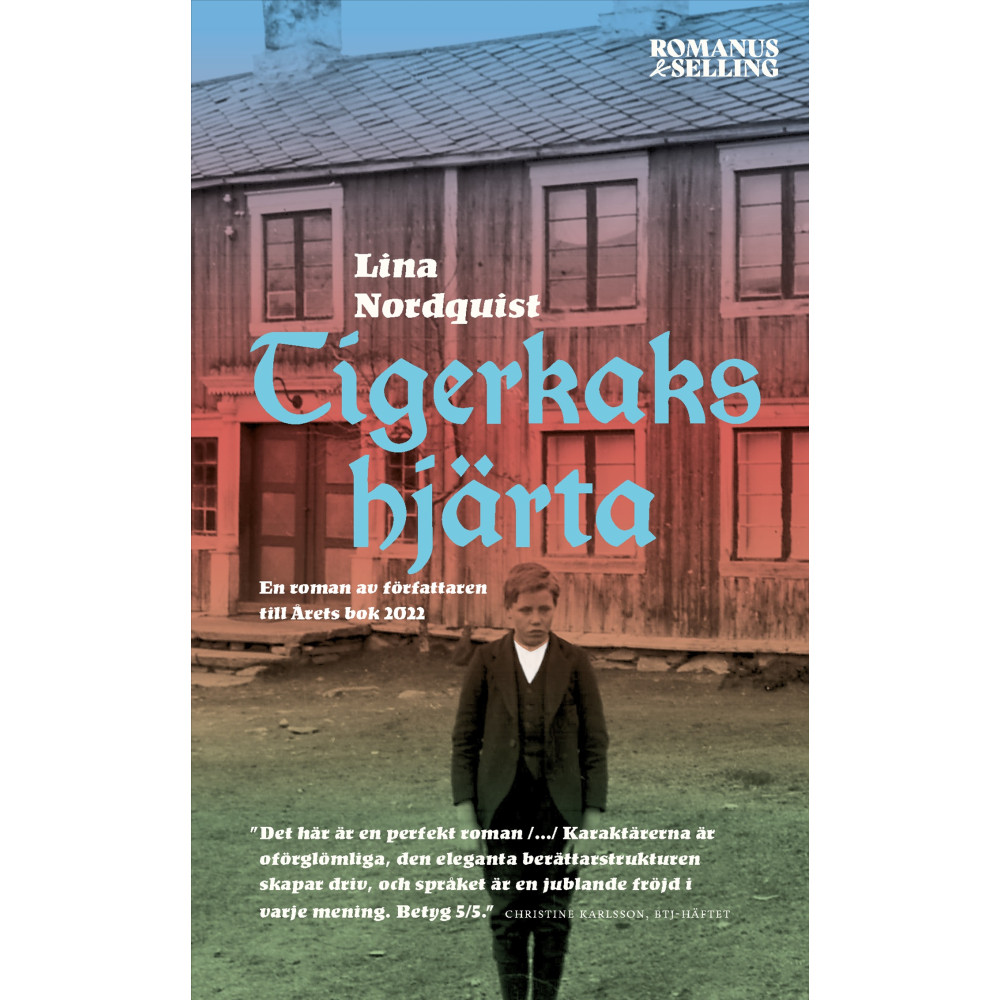 Produktbild för Tigerkakshjärta (pocket)
