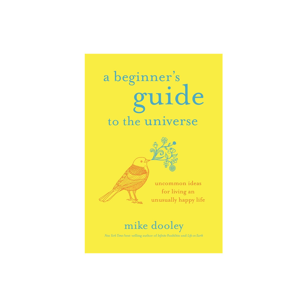 Produktbild för A Beginner's Guide to the Universe (häftad, eng)