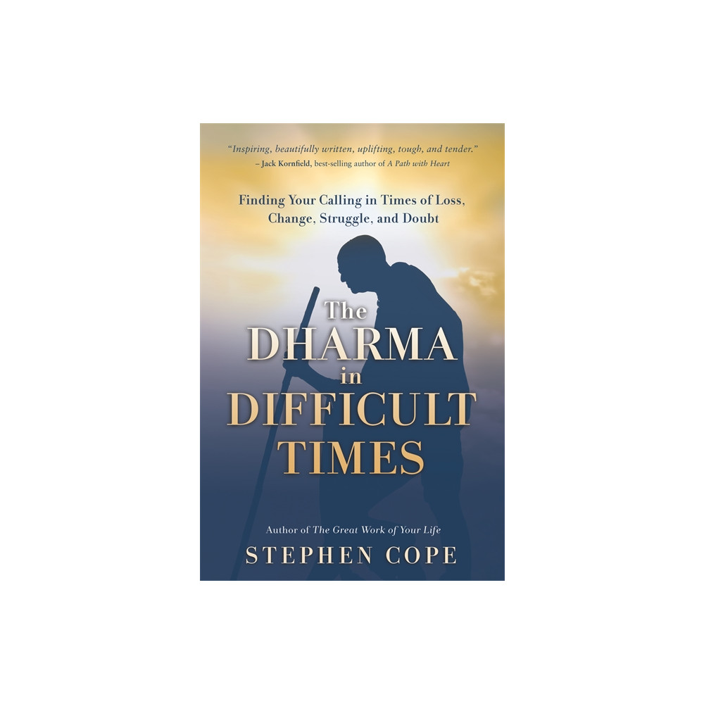Produktbild för The Dharma in Difficult Times (häftad, eng)