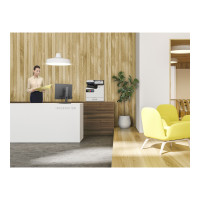 Produktbild för Epson WorkForce Enterprise AM-C400 - multifunktionsskrivare - färg