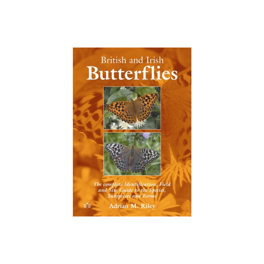 Produktbild för British and Irish Butterflies (häftad, eng)