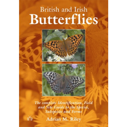 Brambleby Books British and Irish Butterflies (häftad, eng)