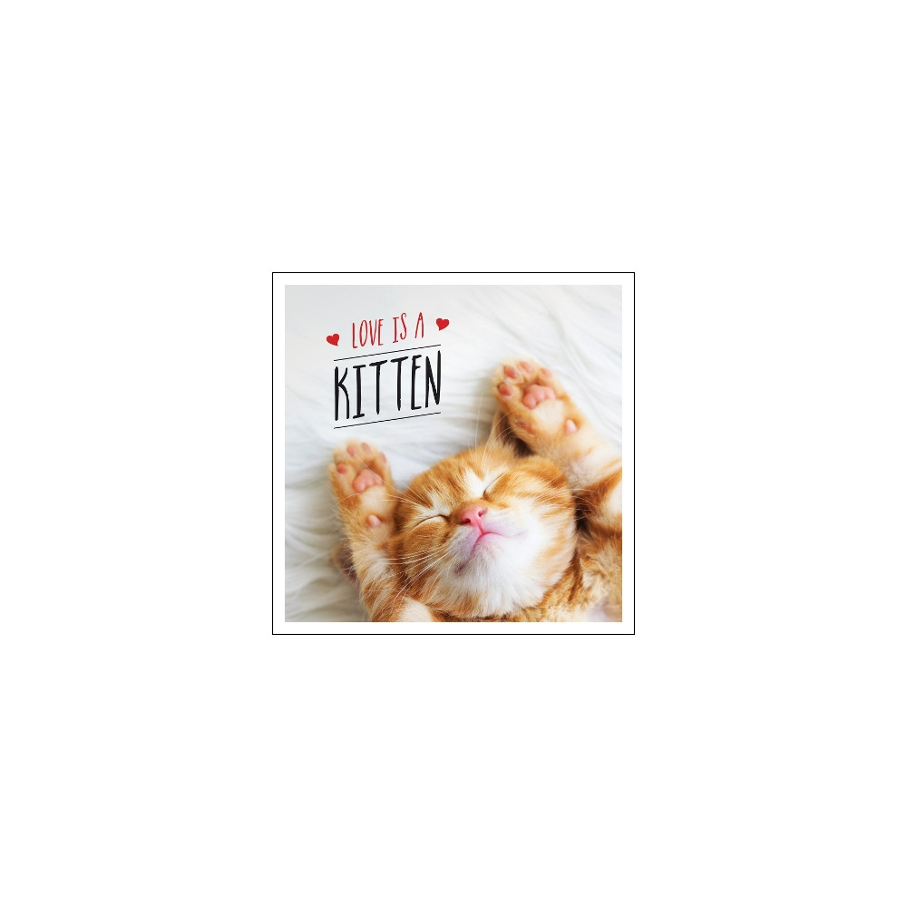 Produktbild för Love is a Kitten: A Cat-Tastic Celebration of the World's Cutest Kittens (inbunden, eng)