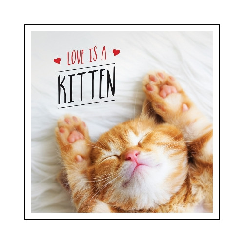Charlie Ellis Love is a Kitten: A Cat-Tastic Celebration of the World's Cutest Kittens (inbunden, eng)