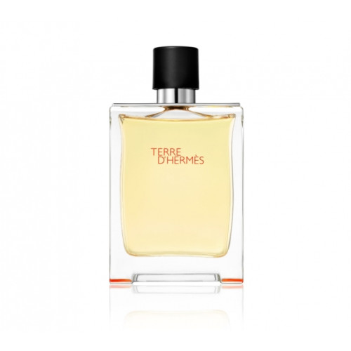 Hermes Hermes Terre D'Hermes Edt Spray