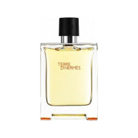 Produktbild för Hermes Terre D'Hermes Edt Spray
