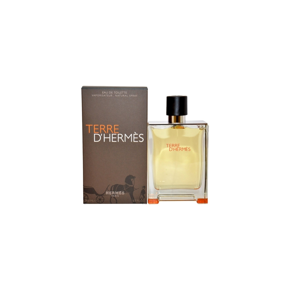 Produktbild för Hermes Terre D'Hermes Edt Spray