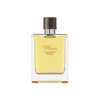 Produktbild för Hermes Terre D'Hermes Edt Spray