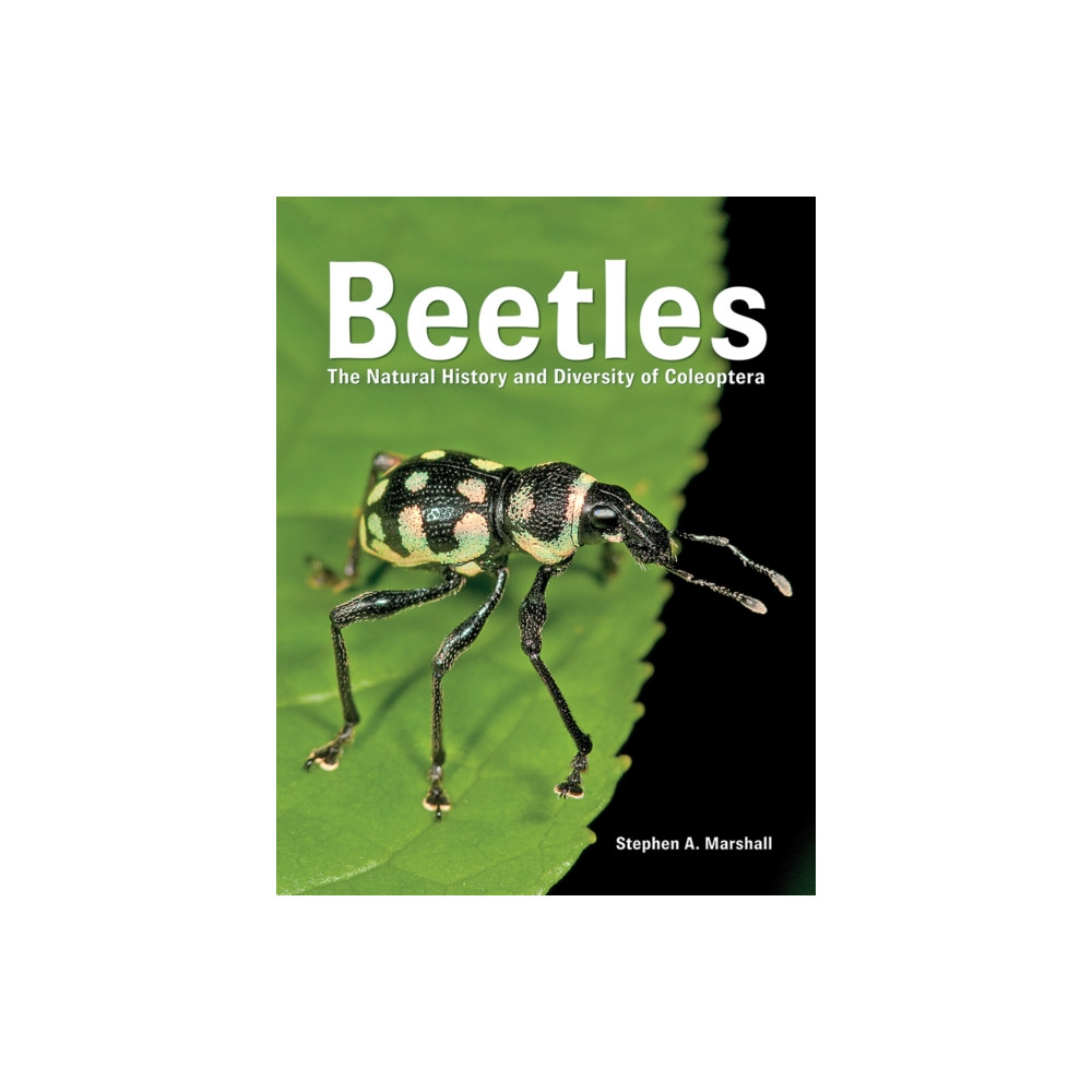 Produktbild för Beetles (inbunden, eng)