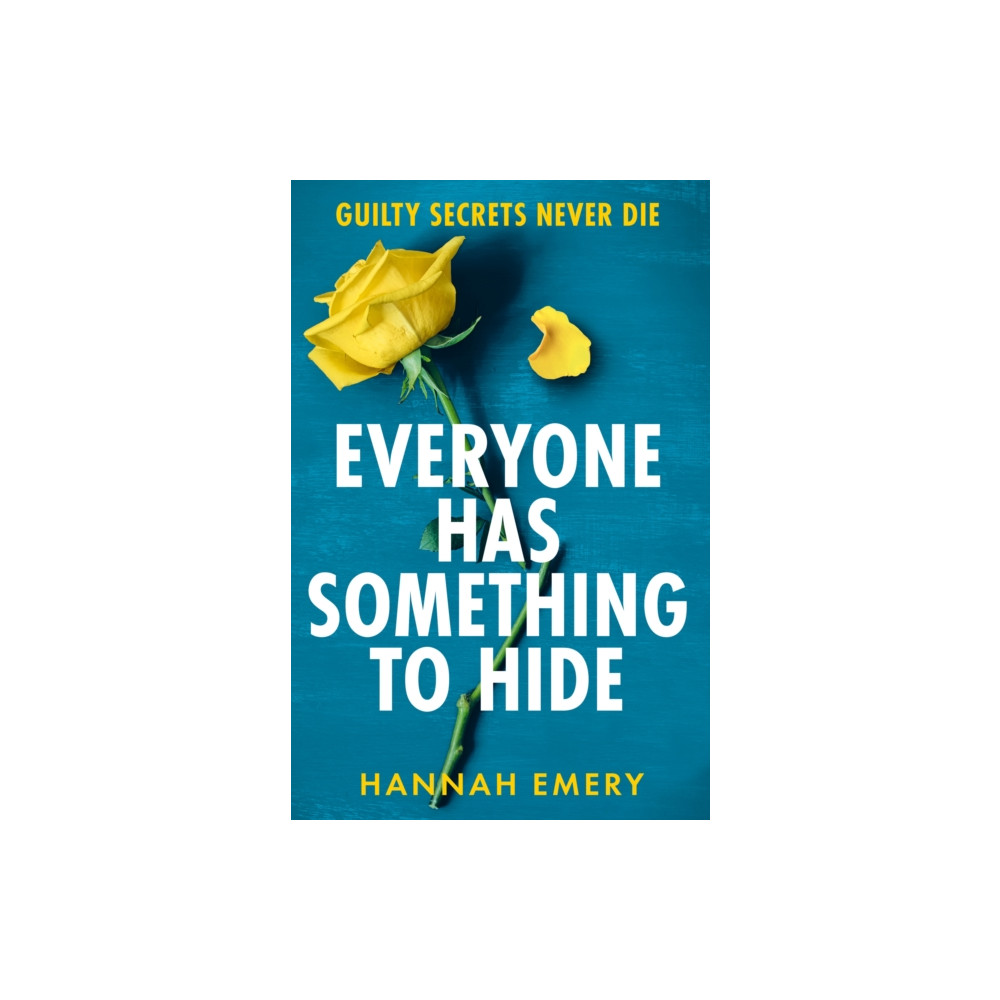 Produktbild för Everyone Has Something to Hide (häftad, eng)