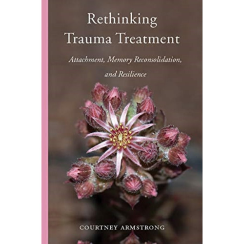 WW Norton & Co Rethinking Trauma Treatment (inbunden, eng)