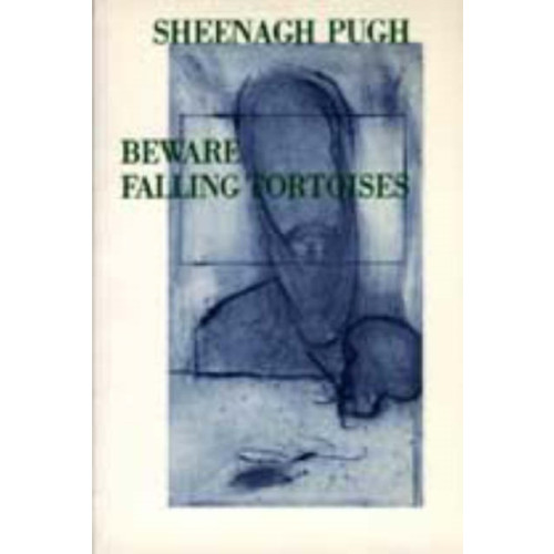 Poetry Wales Press Beware Falling Tortoises (häftad, eng)