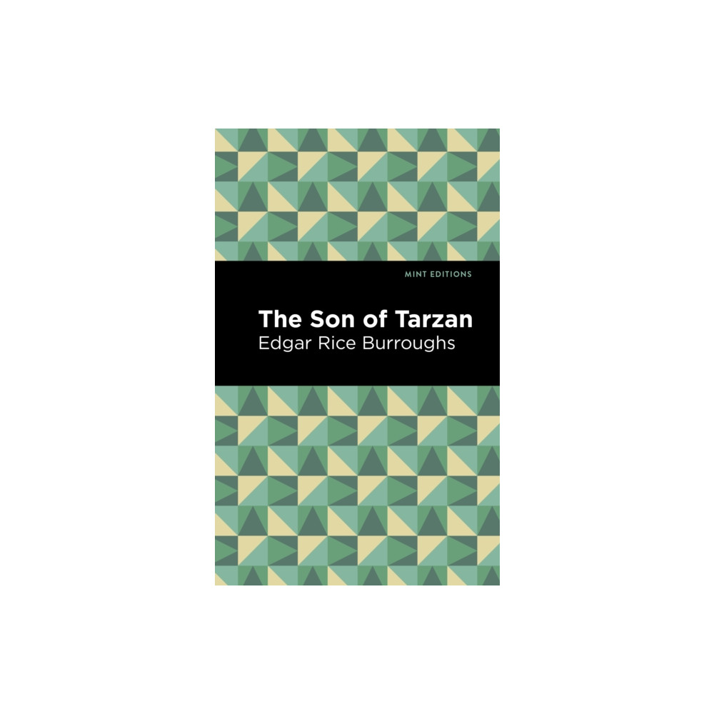 Produktbild för The Son of Tarzan (häftad, eng)