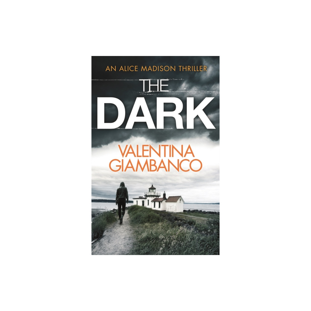 Produktbild för The Dark (häftad, eng)