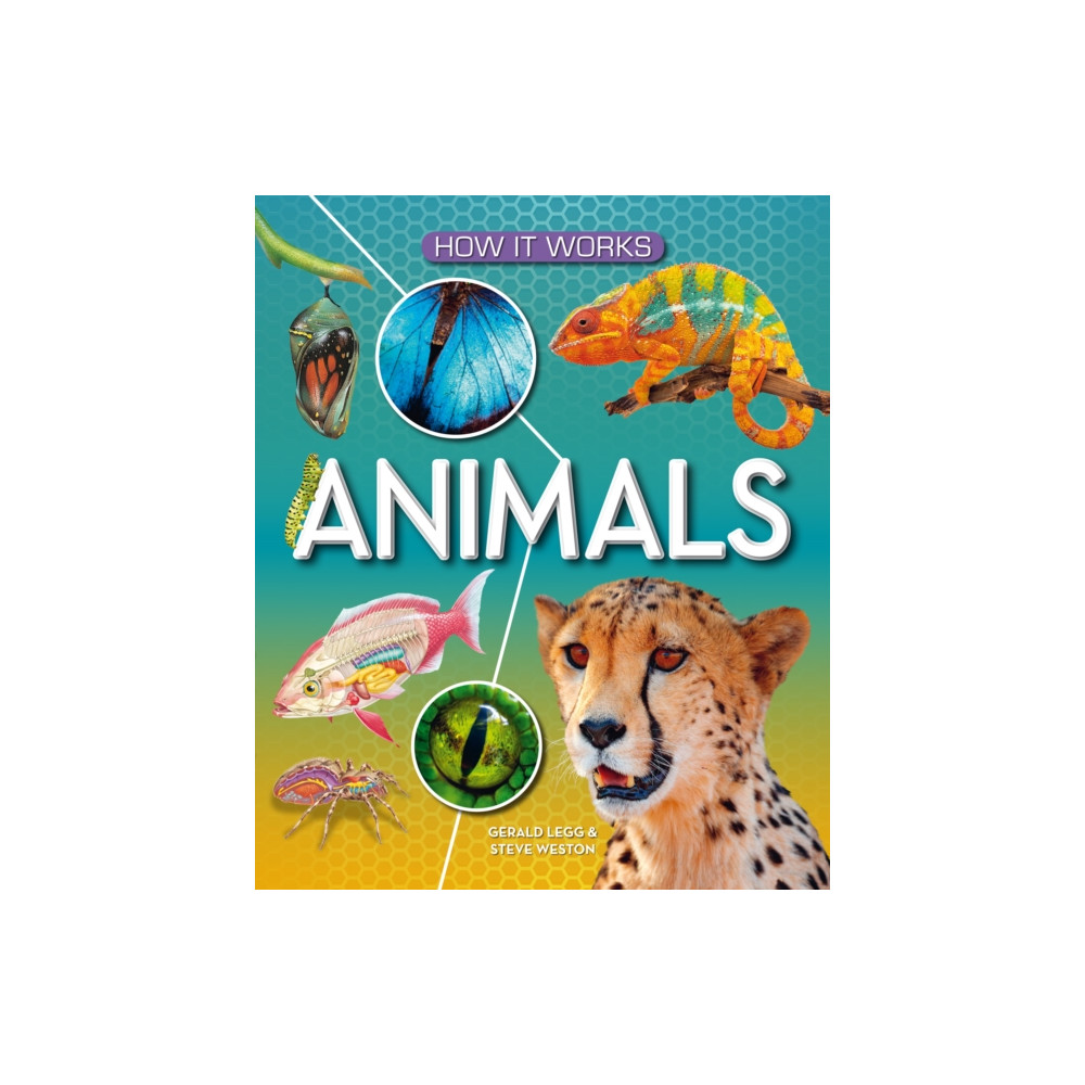 Produktbild för How It Works: Animals (inbunden, eng)