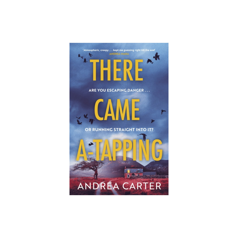 Produktbild för There Came A-Tapping (häftad, eng)