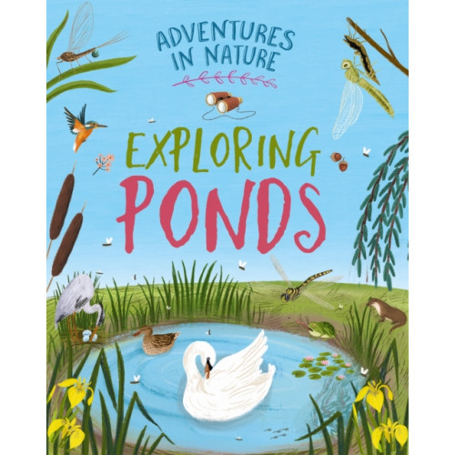 Hachette Children's Group Adventures in Nature: Exploring Ponds (häftad, eng)
