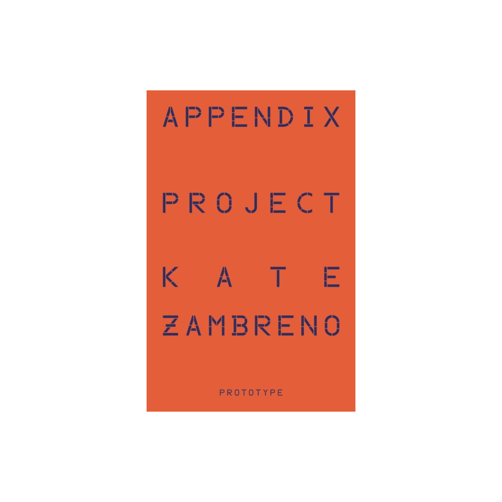 Produktbild för Appendix Project (häftad, eng)