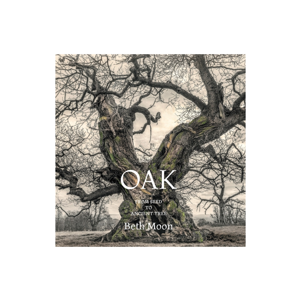 Produktbild för Oak (inbunden, eng)