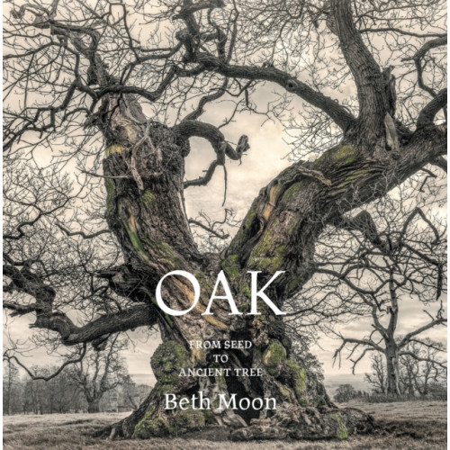 Abbeville Press Inc.,U.S. Oak (inbunden, eng)