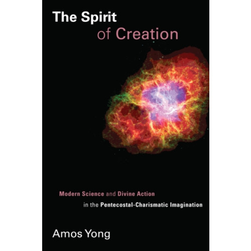 William b eerdmans publishing co Spirit of Creation (häftad, eng)