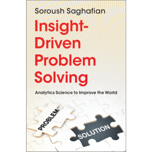Cambridge University Press Insight-Driven Problem Solving (häftad, eng)