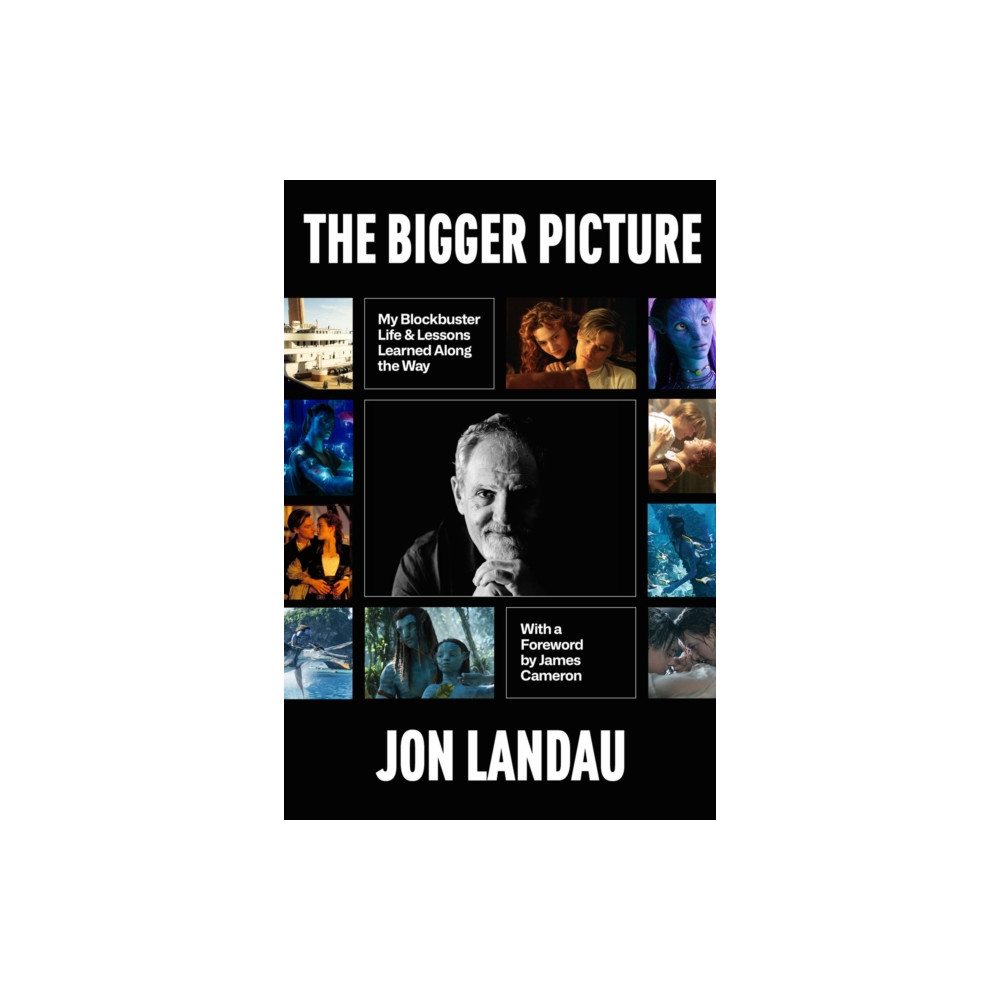 Produktbild för The Bigger Picture (häftad, eng)