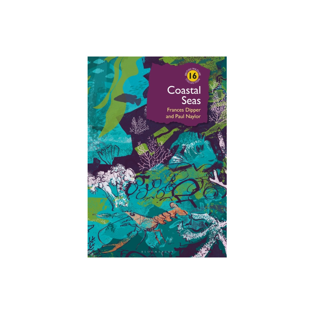 Produktbild för Coastal Seas (inbunden, eng)