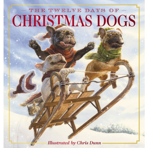 HarperCollins Focus The Twelve Days of Christmas Dogs (inbunden, eng)