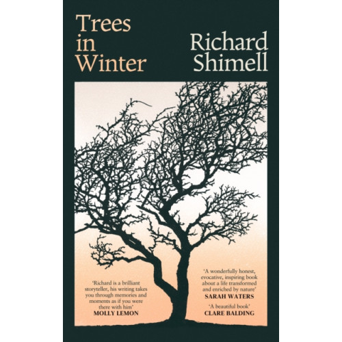 Little, Brown Book Group Trees in Winter (inbunden, eng)