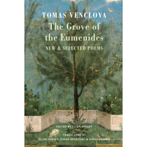 Bloodaxe Books Ltd The Grove of the Eumenides (häftad, eng)