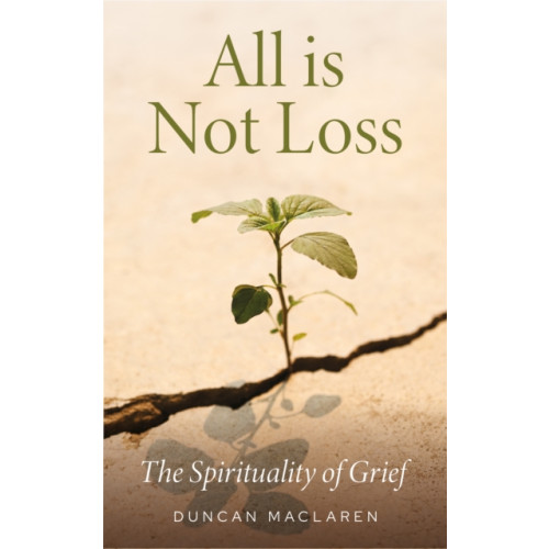 Canterbury Press Norwich All Is Not Loss (häftad, eng)
