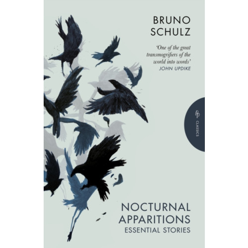 Pushkin Press Nocturnal Apparitions (häftad, eng)