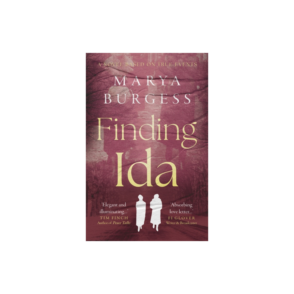 Produktbild för Finding Ida (häftad, eng)