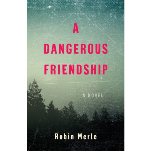 She Writes Press A Dangerous Friendship (häftad, eng)