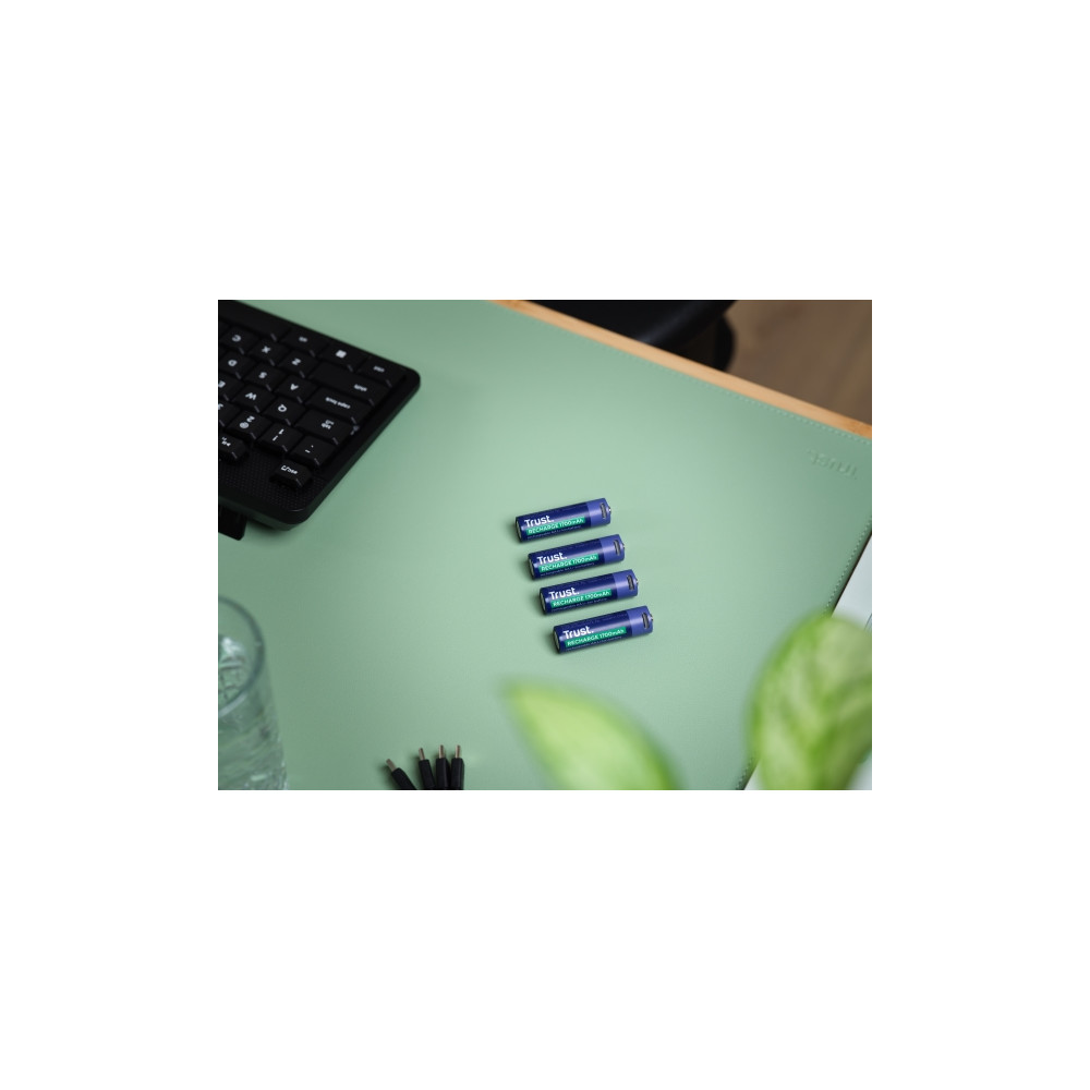Produktbild för Trust batteri - USB-C - med batteri - 4 x AA-typ