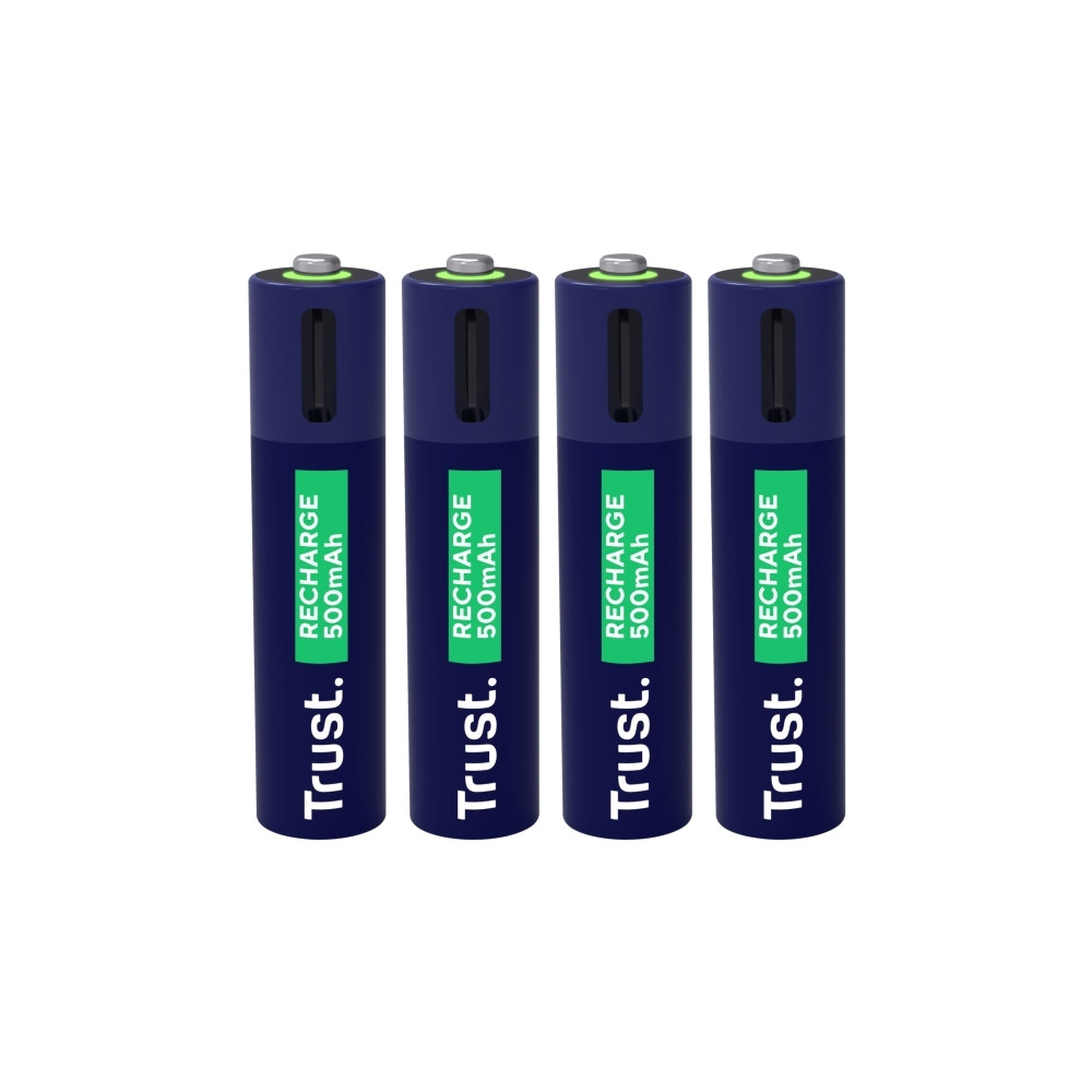 Produktbild för Trust batteri - USB-C - med batteri - 4 x AAA